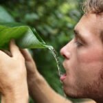 How Long Can You Survive Without Food but With Water