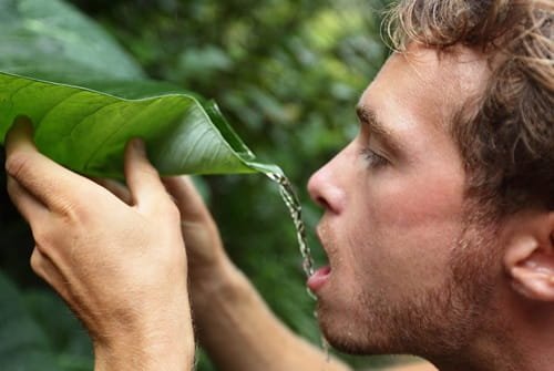 How Long Can You Survive Without Food but With Water
