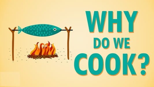 Why Do We Cook Food?